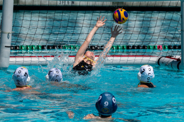 USA Water Polo Spring Sunday Recap