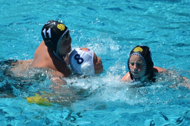 2 Years of Yolo: Happy Anniversary